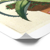 Aloe Vera Vulgaris, von "Phytographia Curiosa", p. Poster (Ecke)