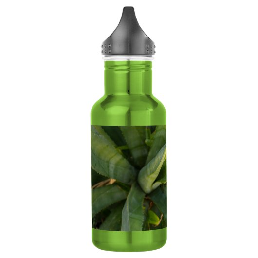 Aloe Vera Wasserflasche (Links)