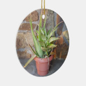 Aloe Very Memorial Ornament (Rechts)