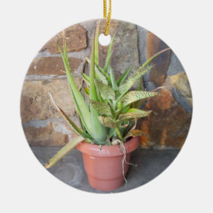 Aloe Very Memorial Ornament