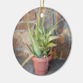 Aloe Very Memorial Ornament (Links)