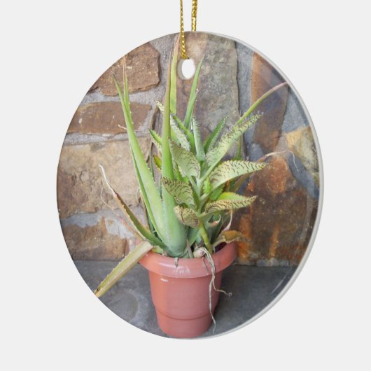 Aloe Very Memorial Ornament (Links)