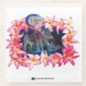 ALOHA 2 6 VERSION 1 GLASUNTERSETZER (Vorderseite)