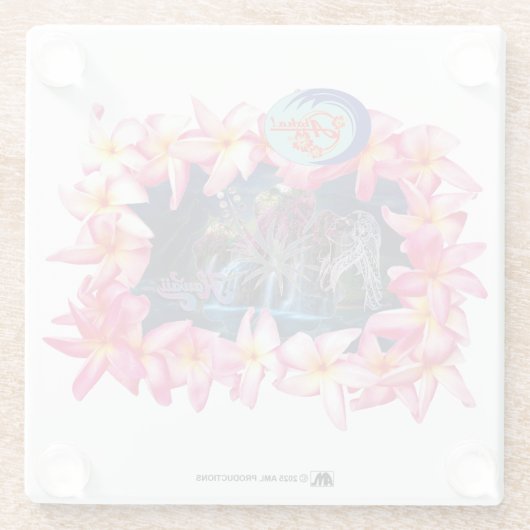 ALOHA 2 6 VERSION 1 GLASUNTERSETZER (Rückseite)