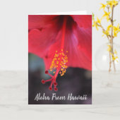 Aloha aus Hawaii Karte (Gelbe Blume)