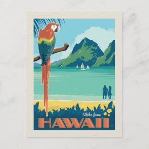 Aloha aus Hawaii Papagei Postkarte