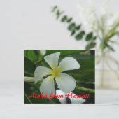 Aloha aus Hawaii Postkarte (Stehend Vorderseite)