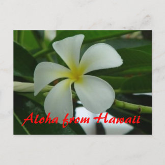 Aloha aus Hawaii Postkarte