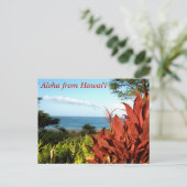Aloha aus Hawaii Postkarte (Stehend Vorderseite)