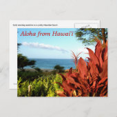 Aloha aus Hawaii Postkarte (Vorne/Hinten)