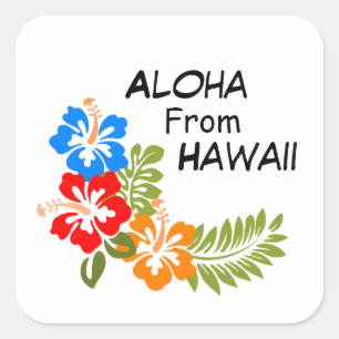 Aloha aus Hawaii Quadratischer Aufkleber