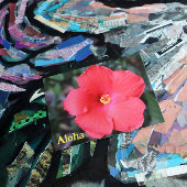 Aloha aus Hawaii Urlaub Postkarte