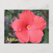 Aloha aus Hawaii Urlaub Postkarte (Vorderseite)