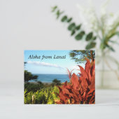 Aloha aus Lanai Hawaii Postkarte (Stehend Vorderseite)