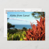 Aloha aus Lanai Hawaii Postkarte (Vorne/Hinten)