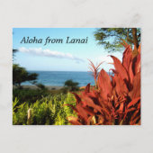 Aloha aus Lanai Hawaii Postkarte (Vorderseite)