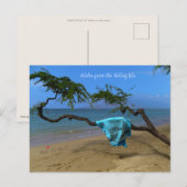 Aloha aus Maui Postkarte (Vorne/Hinten)