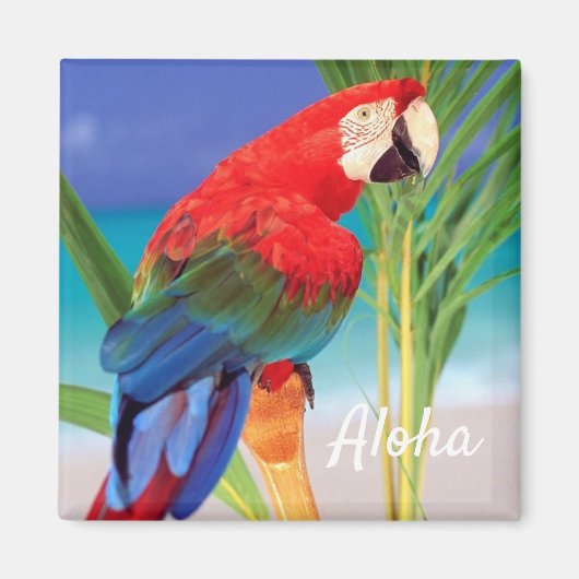 Aloha Bird Magnet (Vorne)