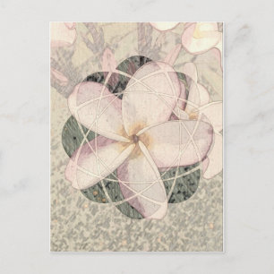 Aloha Blossom Postkarte