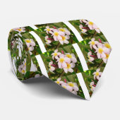 Aloha blüht hawaiischer Frangipani Plumerias Krawatte (Gerollt)