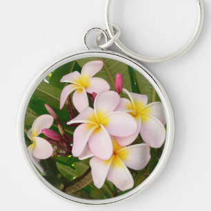 Aloha blüht hawaiischer Frangipani Plumerias Schlüsselanhänger