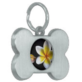 Aloha blüht hawaiischer Frangipani Plumerias Tiermarke (Vorderseite links)
