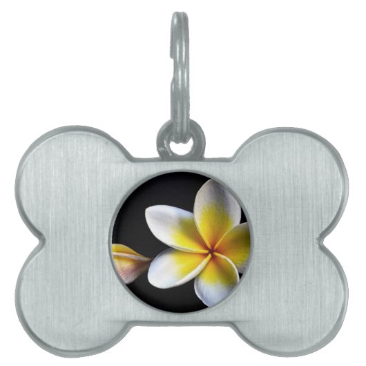 Aloha blüht hawaiischer Frangipani Plumerias Tiermarke (Vorderseite)