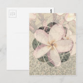 Aloha-Blüte Postkarte (Vorne/Hinten)
