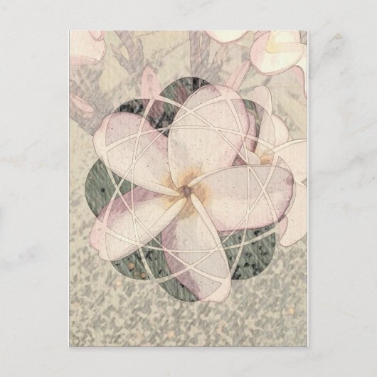 Aloha-Blüte Postkarte (Vorderseite)