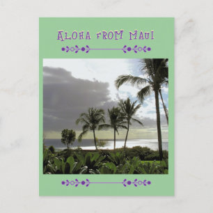 "ALOHA from MAUI" Palm Trees POST CARD Postkarte