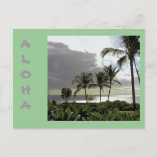 "ALOHA from MAUI" POSTCARD Postkarte