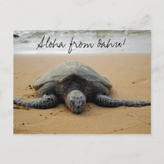 Aloha from Oahu! Postcard with Sea Turtle Postkarte