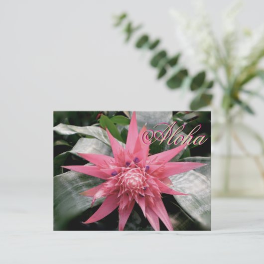 Aloha Greetings Tropical Bromeliad Postkarte (Stehend Vorderseite)