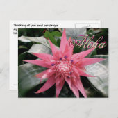 Aloha Greetings Tropical Bromeliad Postkarte (Vorne/Hinten)