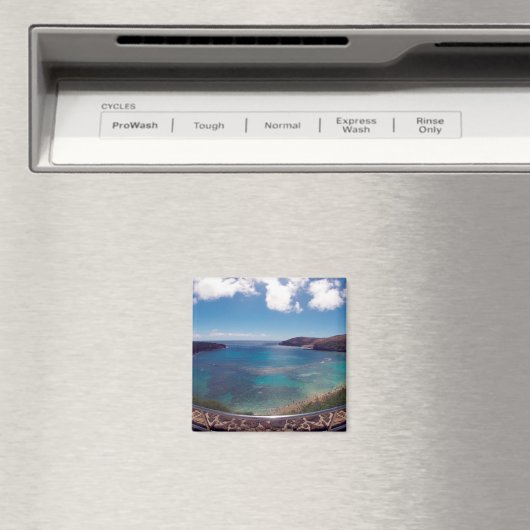 Aloha Hanauma-Inseln Magnet (In Situ (Geschirrspüler))