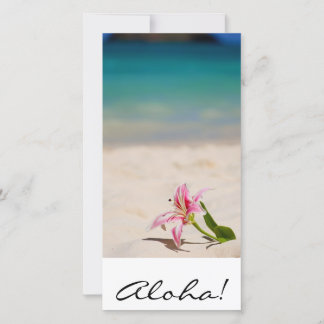 Aloha! Hawaii