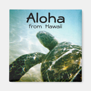 Aloha Hawaii-Meeresschildkröte Magnet