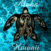 Aloha Hawaii Schürze