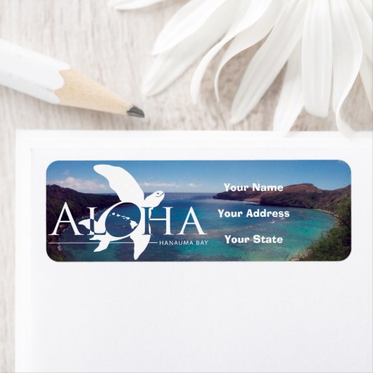 Aloha Hawaii Turtle und Hanauma Bay (Insitu)