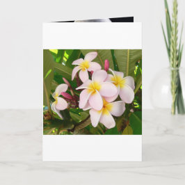 Aloha Hawaiian Frangipani Blossoms Brautparty Einladung