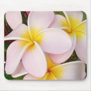 Aloha Hawaiian Frangipani Blüten Plumerien Mousepad