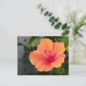 ALOHA Hibiskus Postkarte (Stehend Vorderseite)