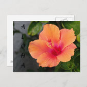 ALOHA Hibiskus Postkarte (Vorne/Hinten)