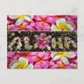 Aloha Honu Turtle Hawaii Plumeria Blume Paradise Postkarte (Vorderseite)