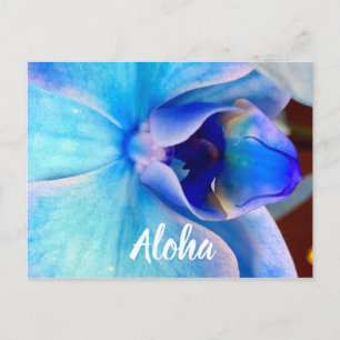 Aloha in Blau Postkarte