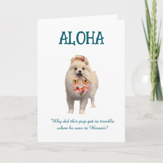 Aloha Joke Card with Pup Karte