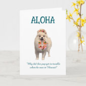 Aloha Joke Card with Pup Karte (Gelbe Blume)