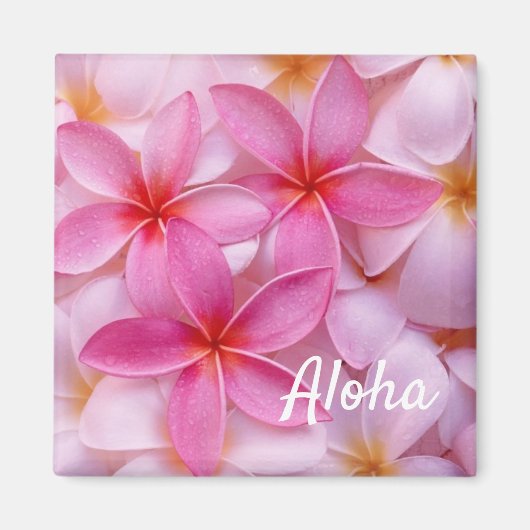 Aloha Magnet (Vorne)