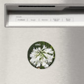 Aloha Magnet (In Situ (Geschirrspüler))