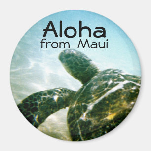 Aloha Maui-Meeresschildkröte Magnet